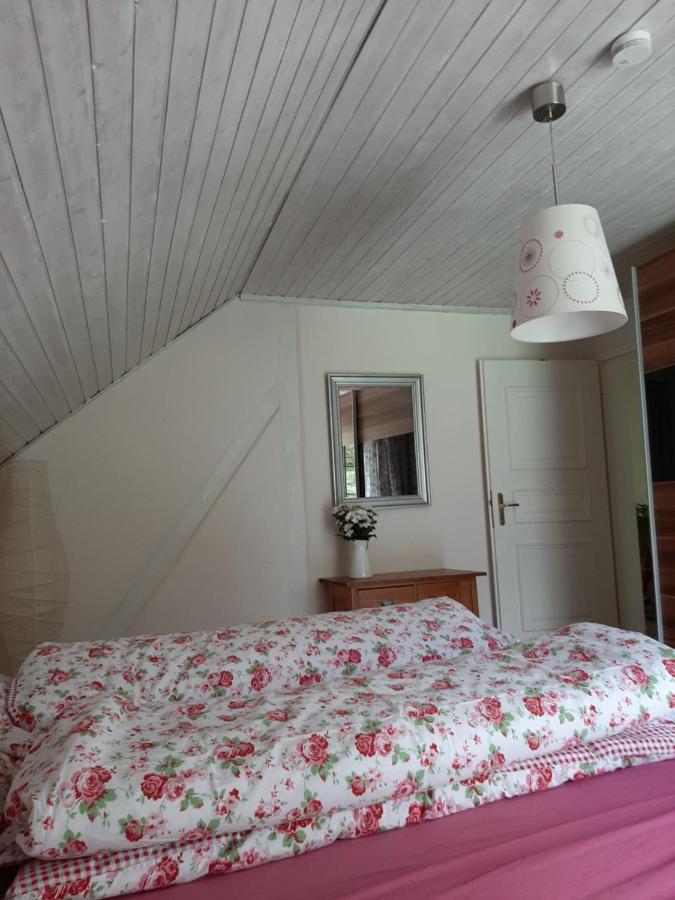 Kehrmuehle Villa Ober Kostenz Dış mekan fotoğraf